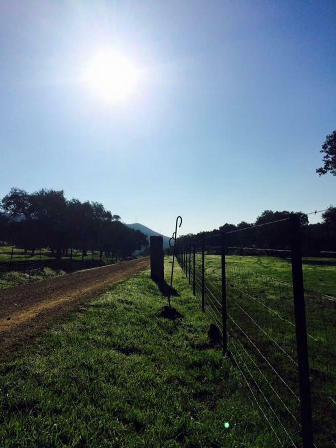 Vivienda Rural El Ejido Villa El Real de la Jara Exteriör bild